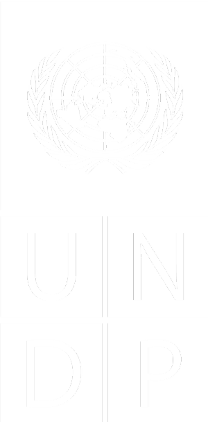 UNDP